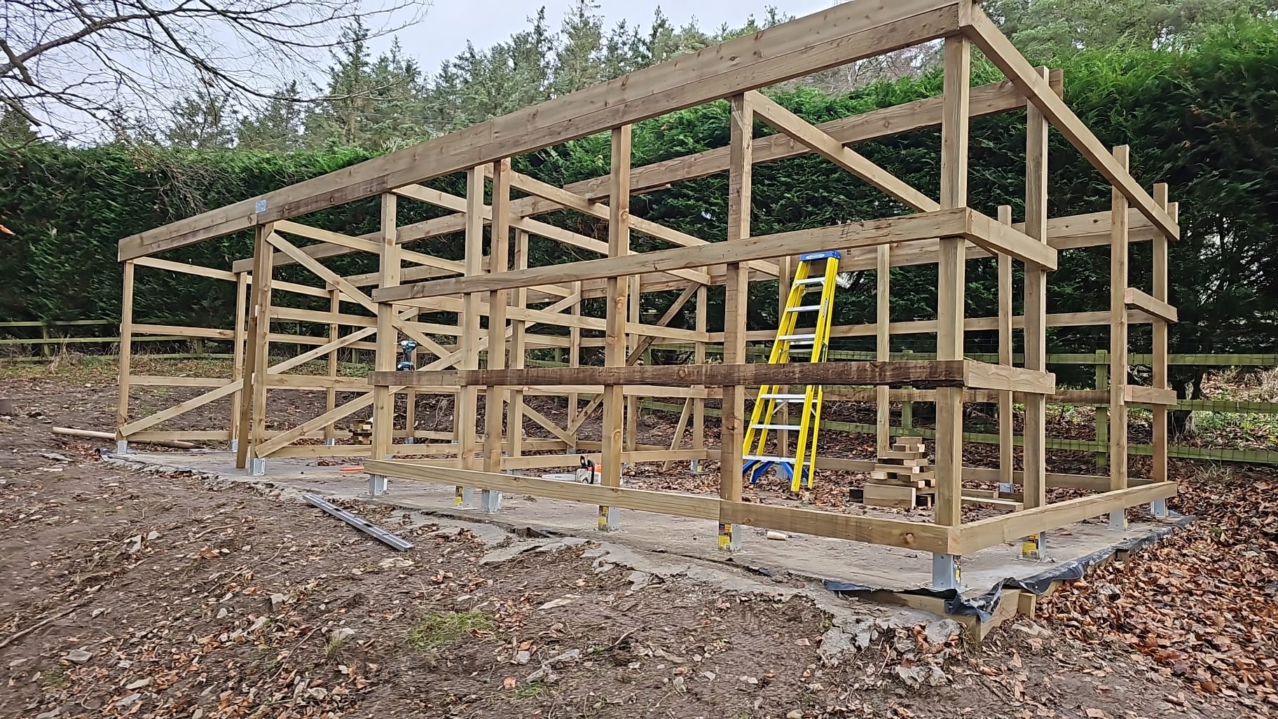 During - Shed and log store